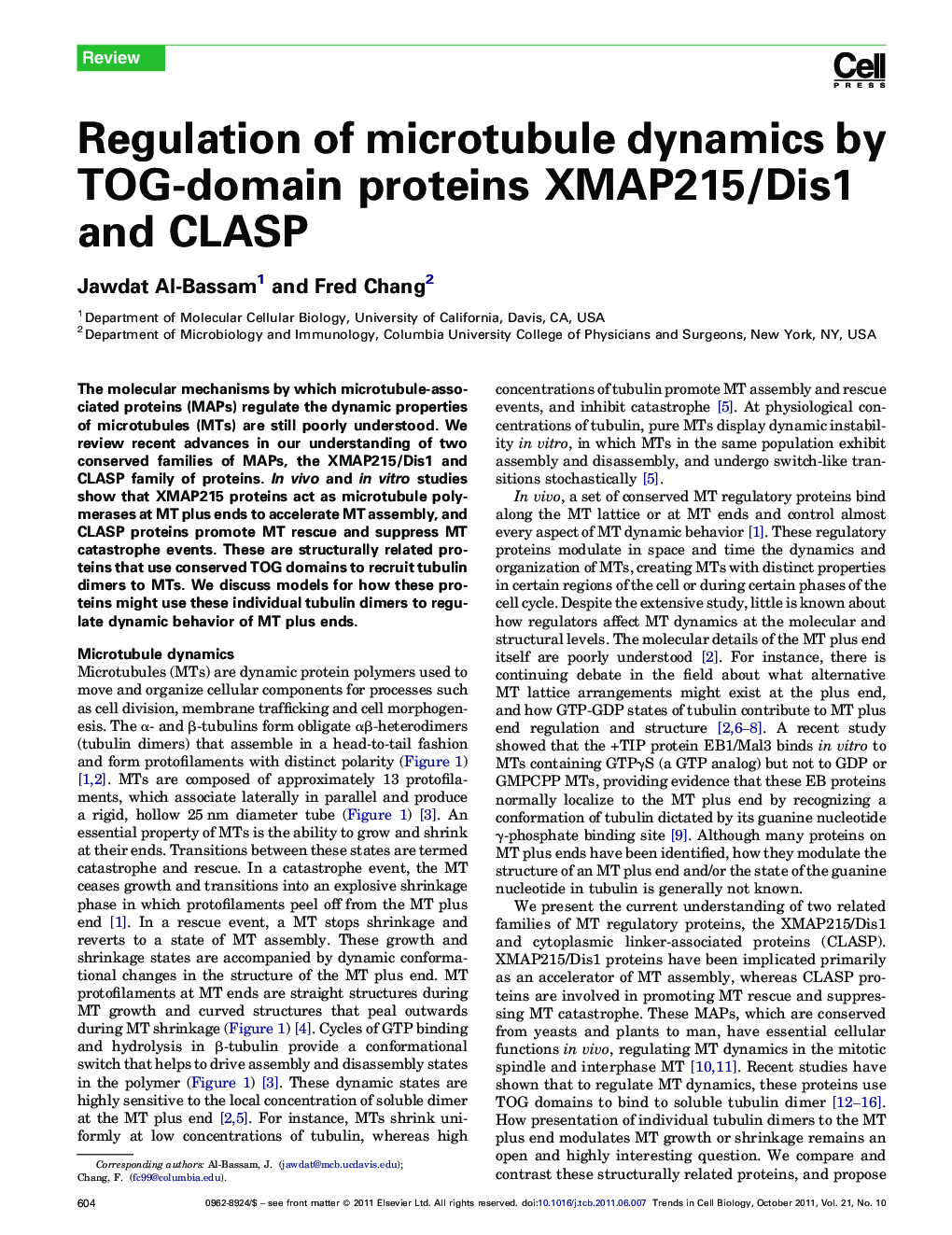 Regulation of microtubule dynamics by TOG-domain proteins XMAP215/Dis1 and CLASP