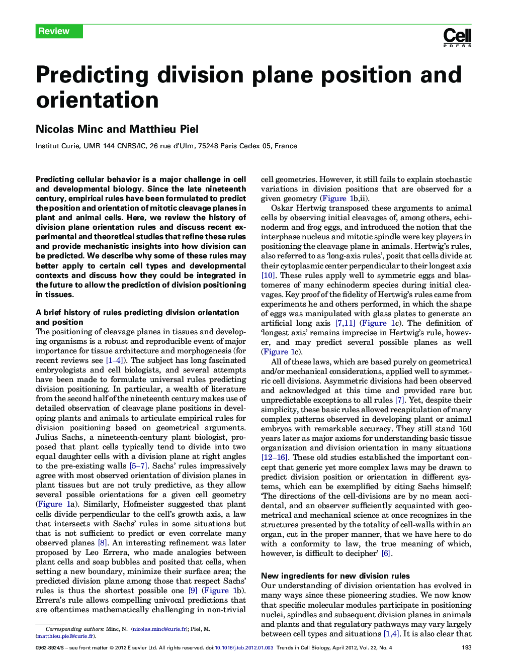 Predicting division plane position and orientation