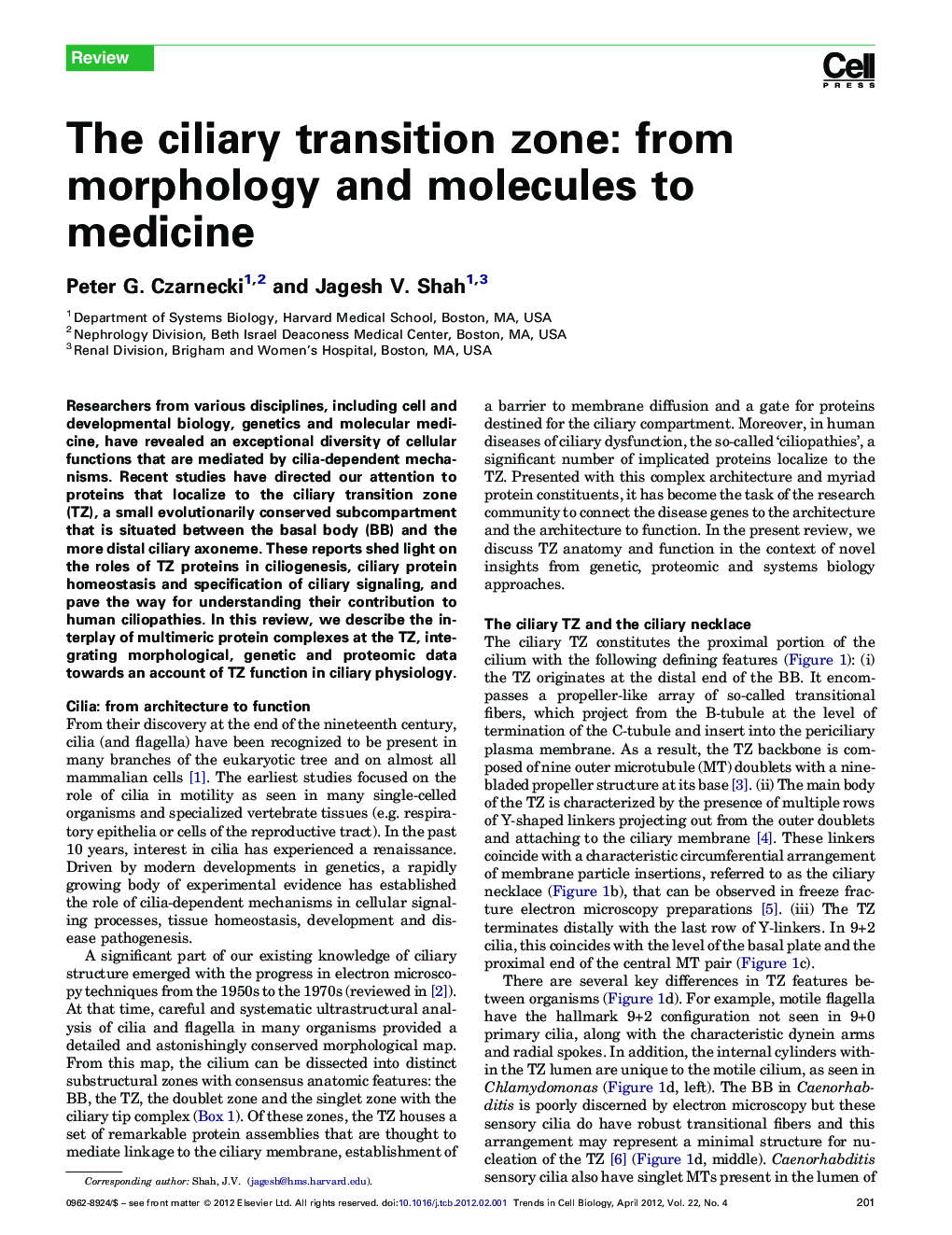 The ciliary transition zone: from morphology and molecules to medicine