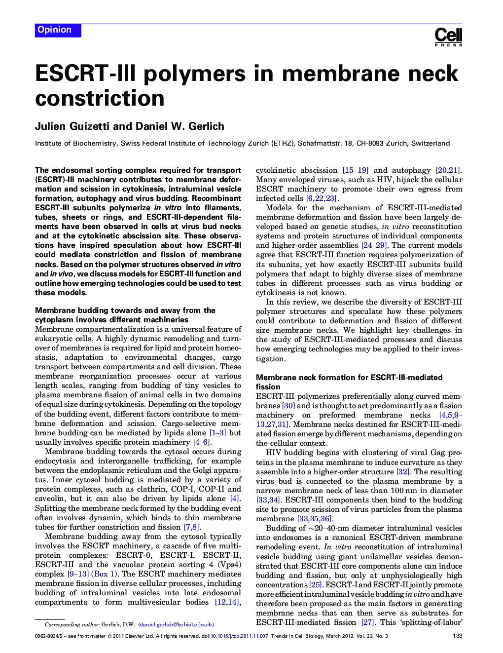 ESCRT-III polymers in membrane neck constriction