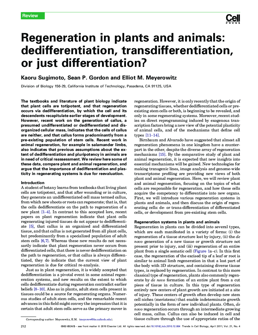 Regeneration in plants and animals: dedifferentiation, transdifferentiation, or just differentiation?