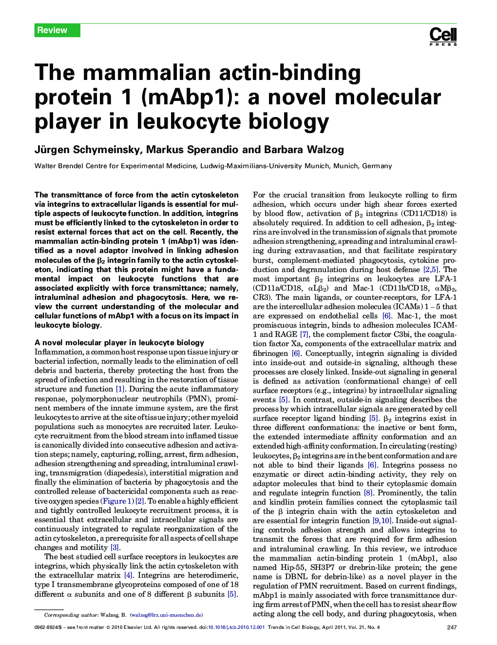 The mammalian actin-binding protein 1 (mAbp1): a novel molecular player in leukocyte biology