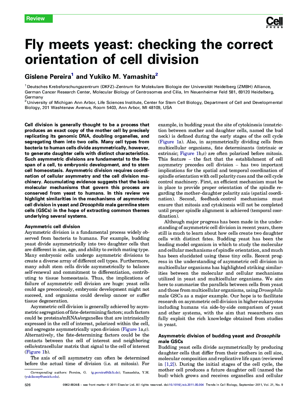 Fly meets yeast: checking the correct orientation of cell division