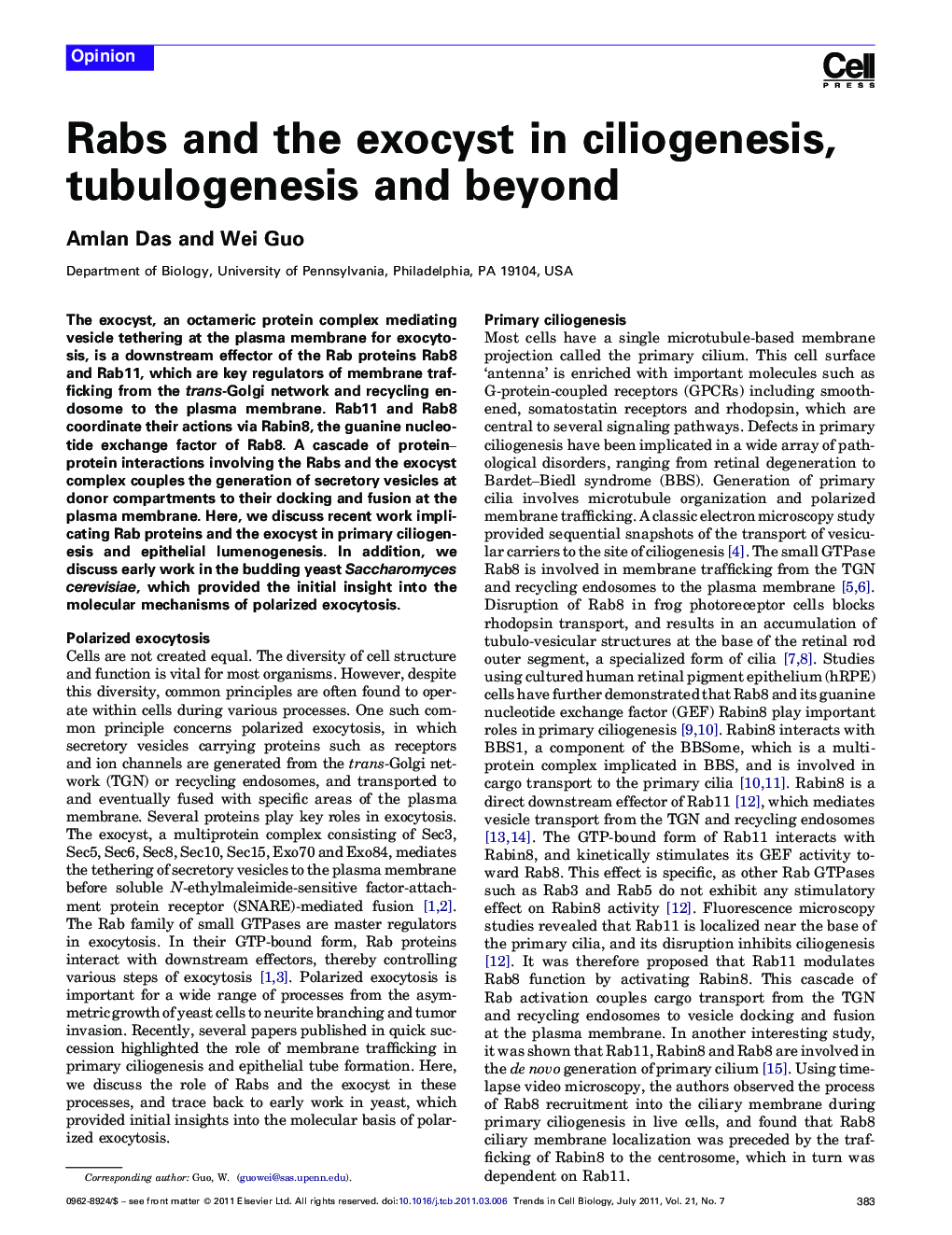 Rabs and the exocyst in ciliogenesis, tubulogenesis and beyond