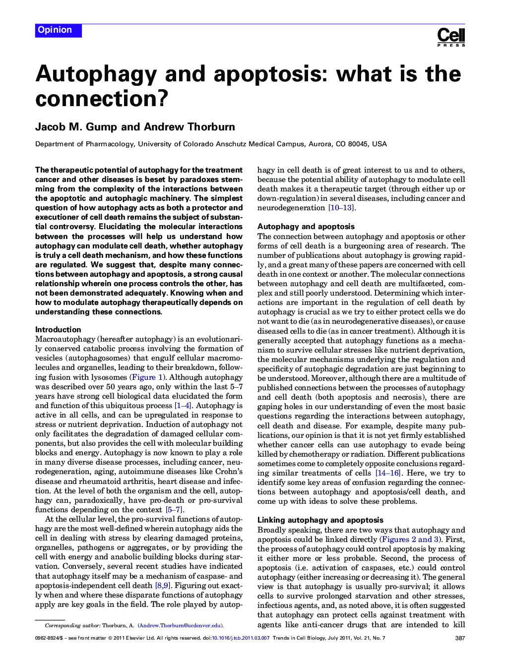 Autophagy and apoptosis: what is the connection?