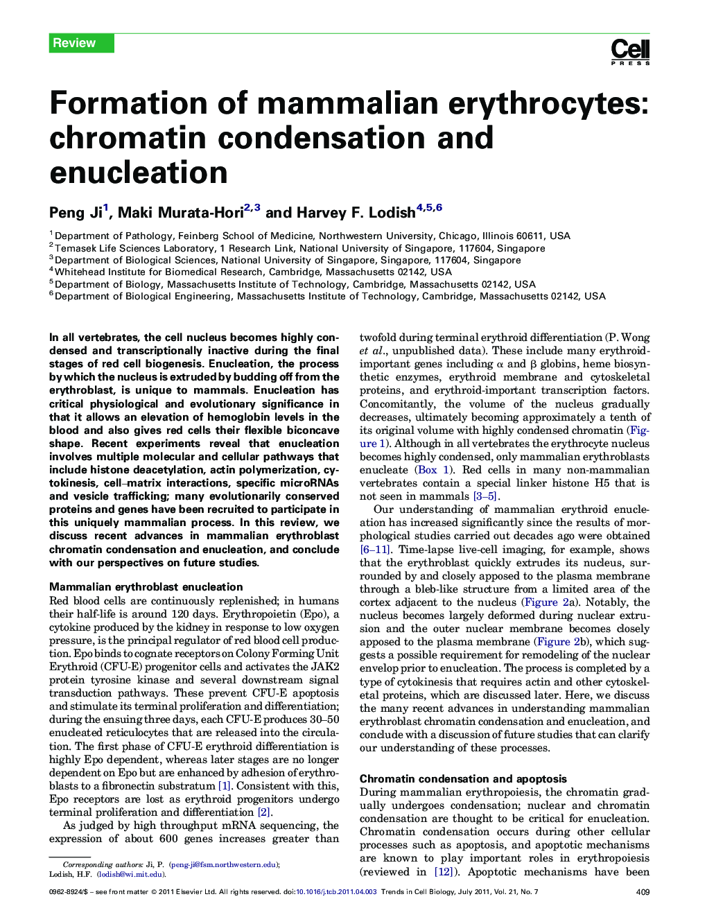 Formation of mammalian erythrocytes: chromatin condensation and enucleation