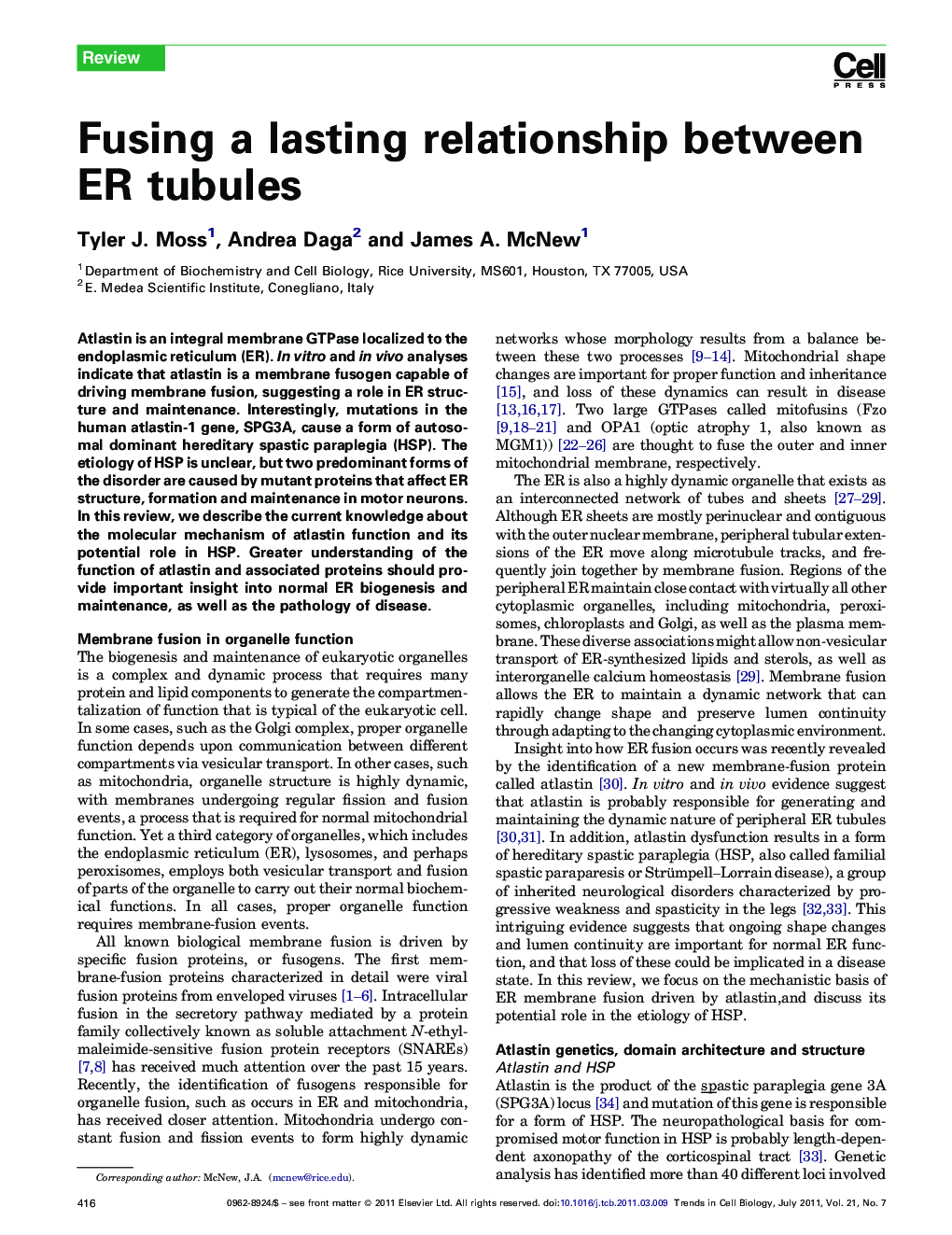 Fusing a lasting relationship between ER tubules