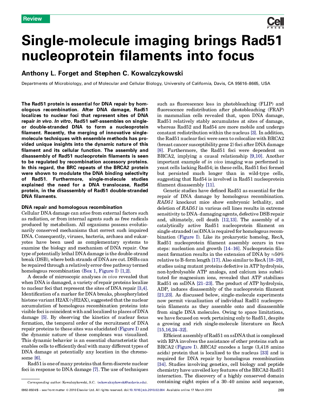 Single-molecule imaging brings Rad51 nucleoprotein filaments into focus