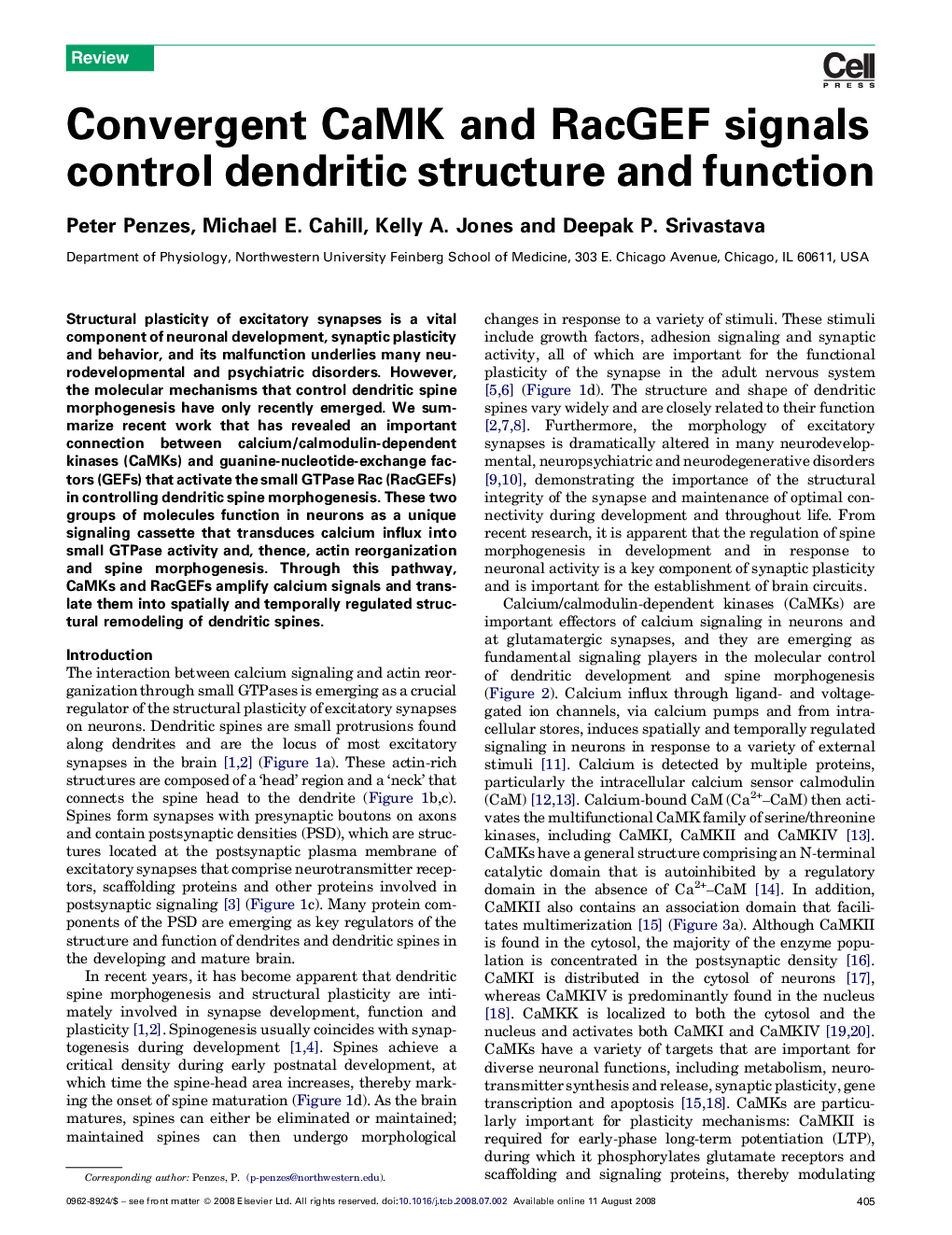 Convergent CaMK and RacGEF signals control dendritic structure and function