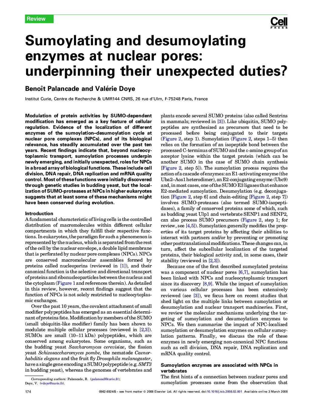 Sumoylating and desumoylating enzymes at nuclear pores: underpinning their unexpected duties?