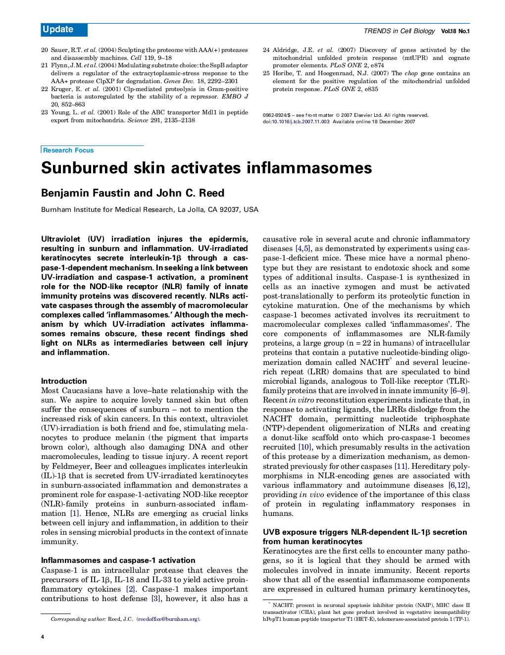 Sunburned skin activates inflammasomes