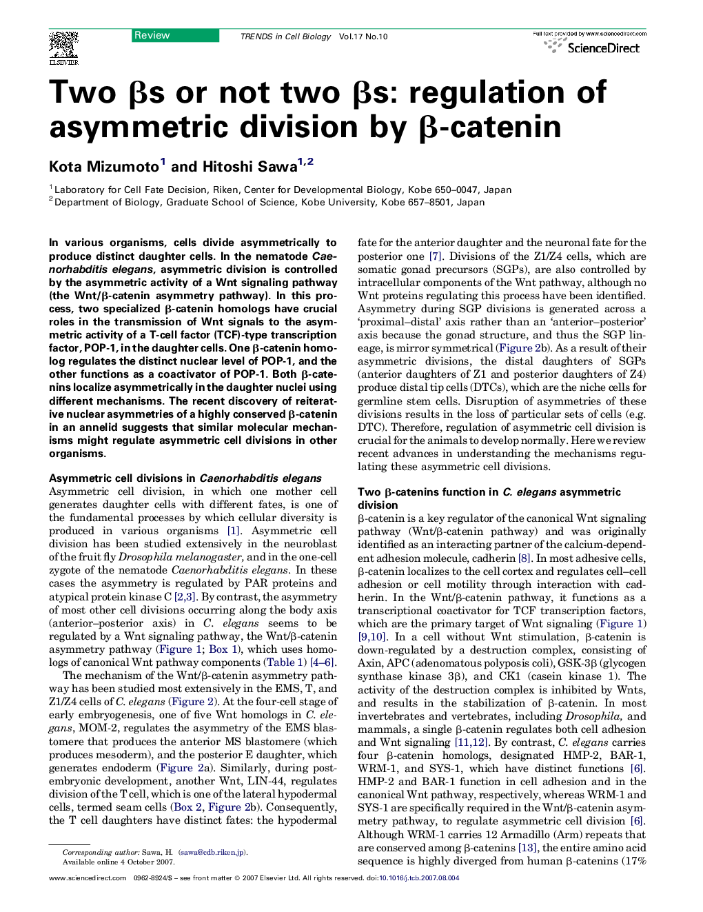 Two βs or not two βs: regulation of asymmetric division by β-catenin