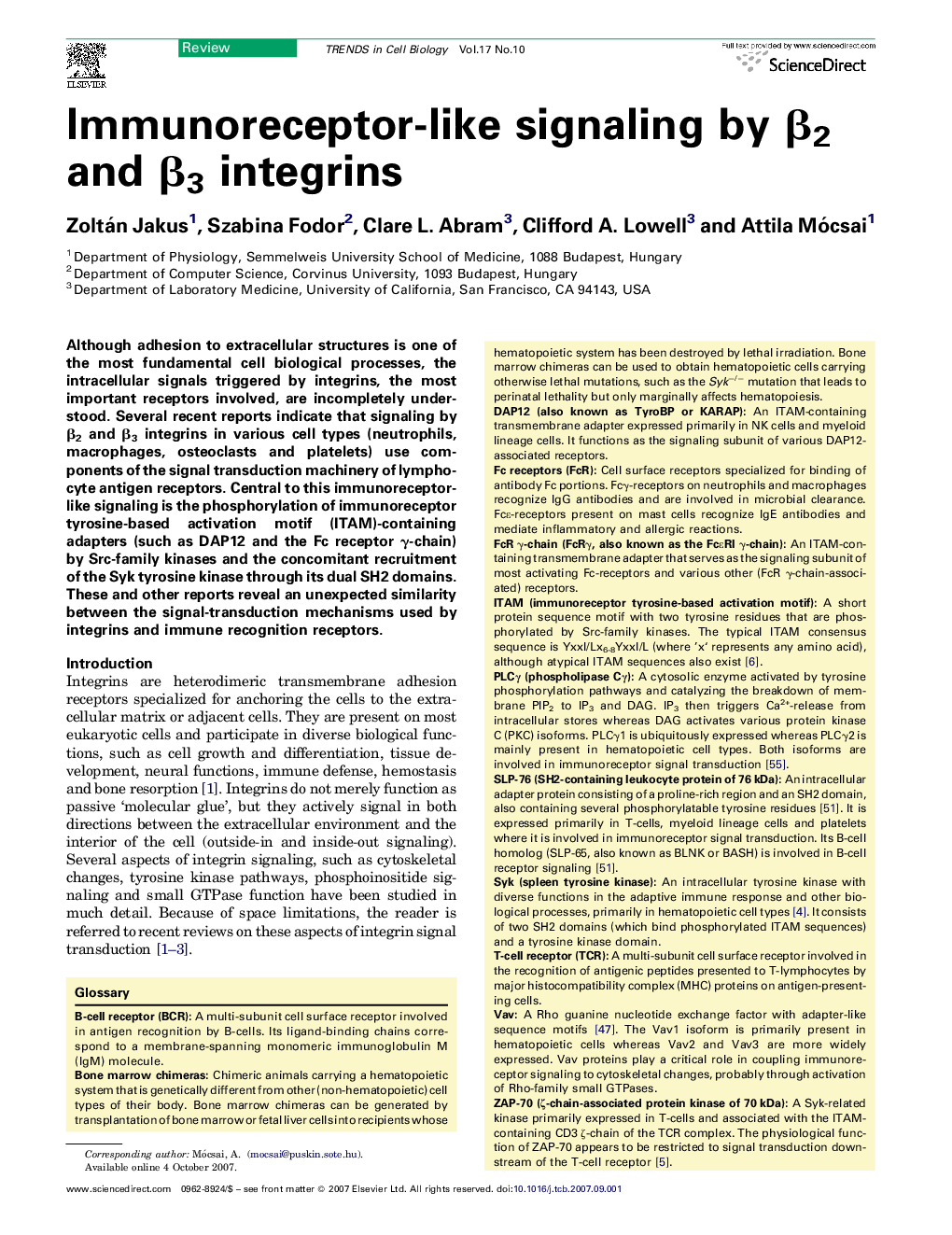 Immunoreceptor-like signaling by β2 and β3 integrins