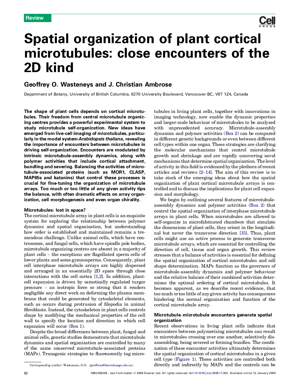 Spatial organization of plant cortical microtubules: close encounters of the 2D kind