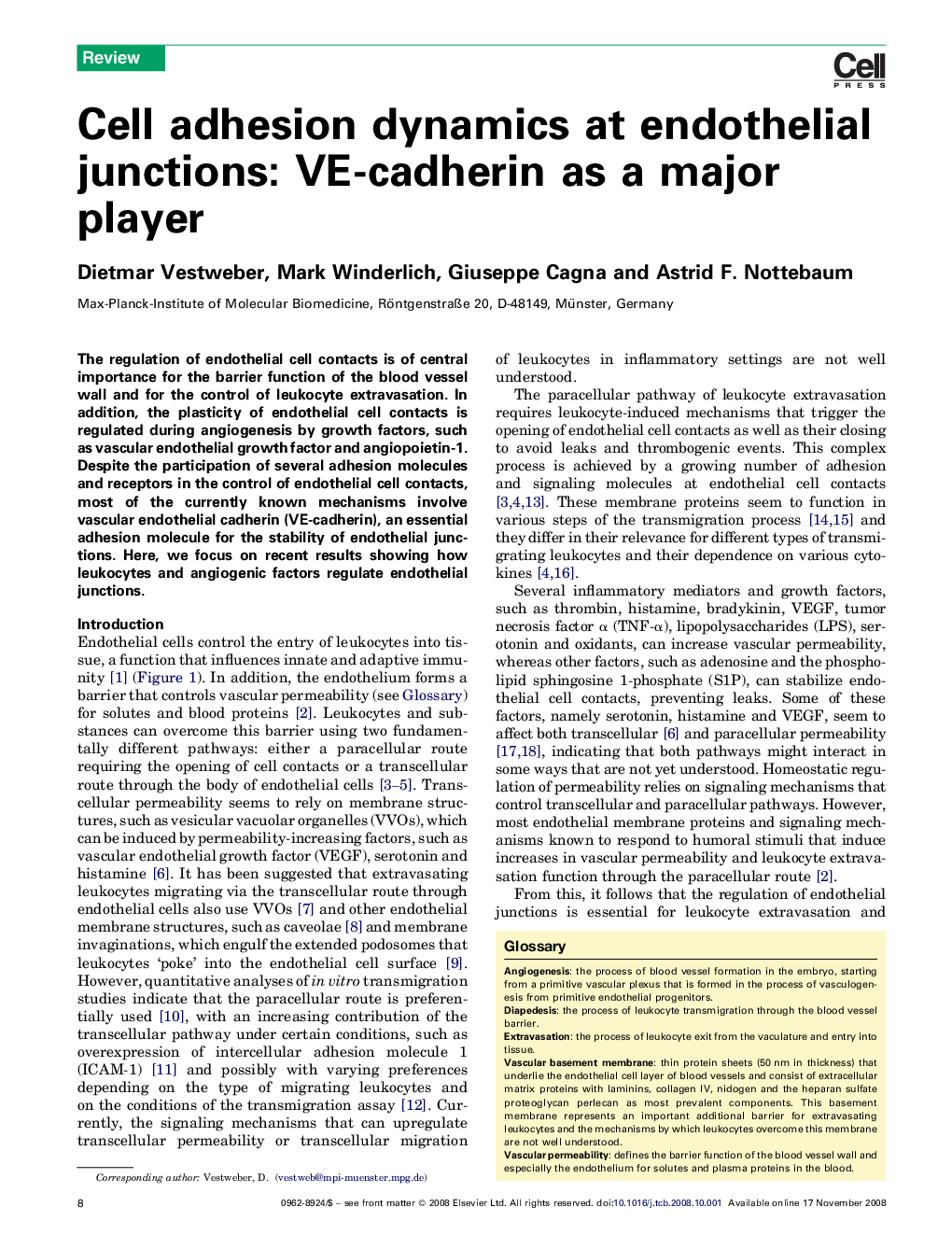 Cell adhesion dynamics at endothelial junctions: VE-cadherin as a major player