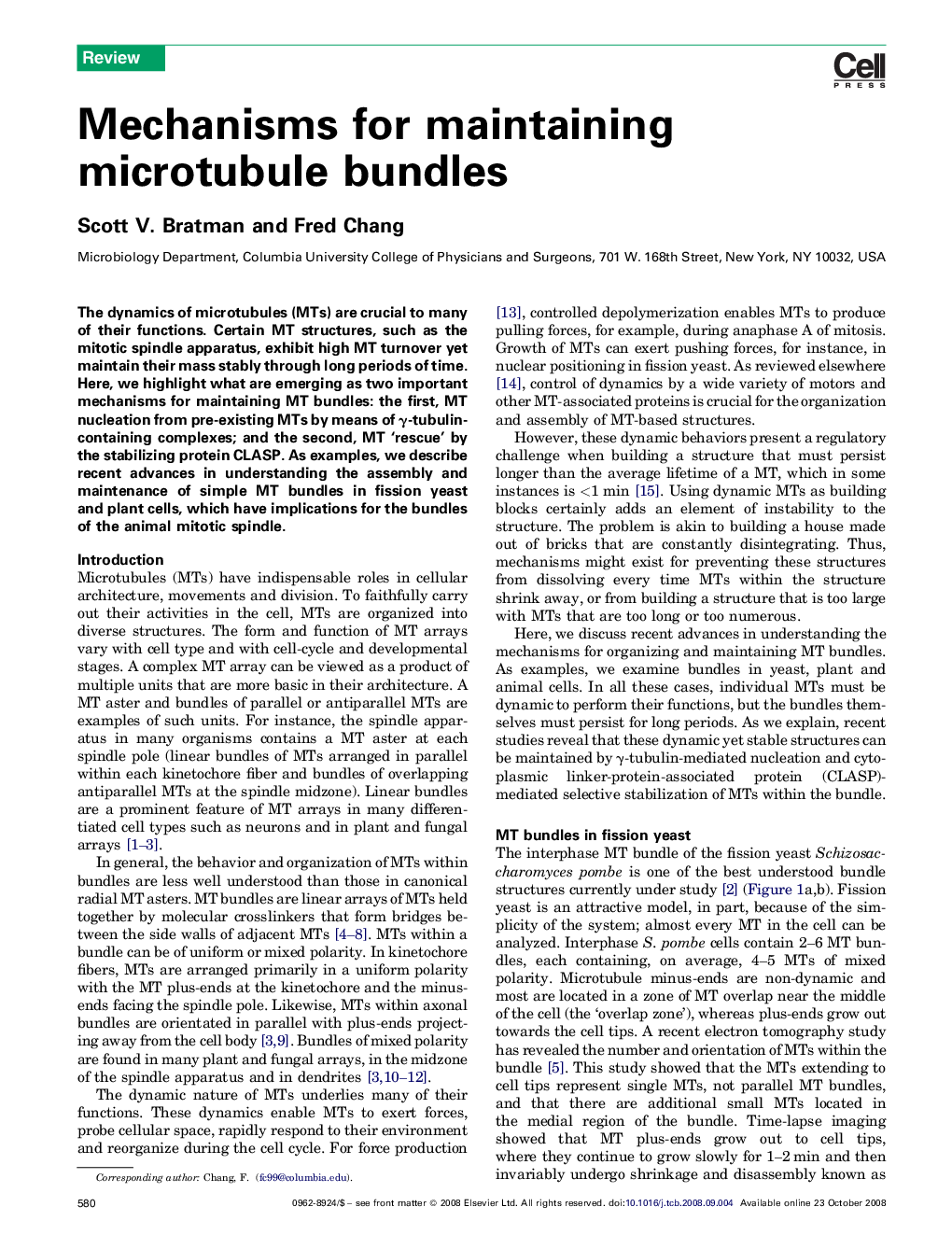 Mechanisms for maintaining microtubule bundles