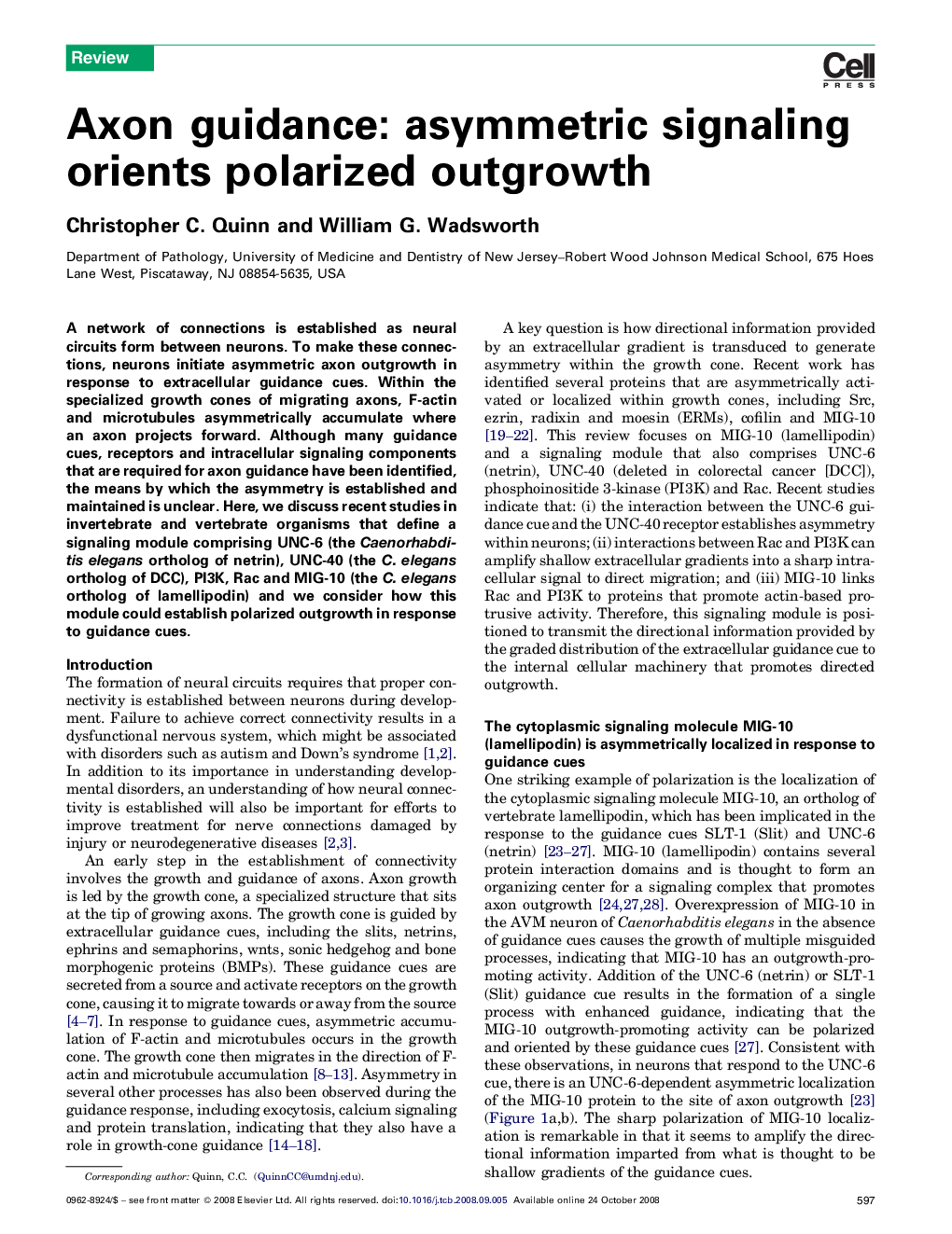 Axon guidance: asymmetric signaling orients polarized outgrowth