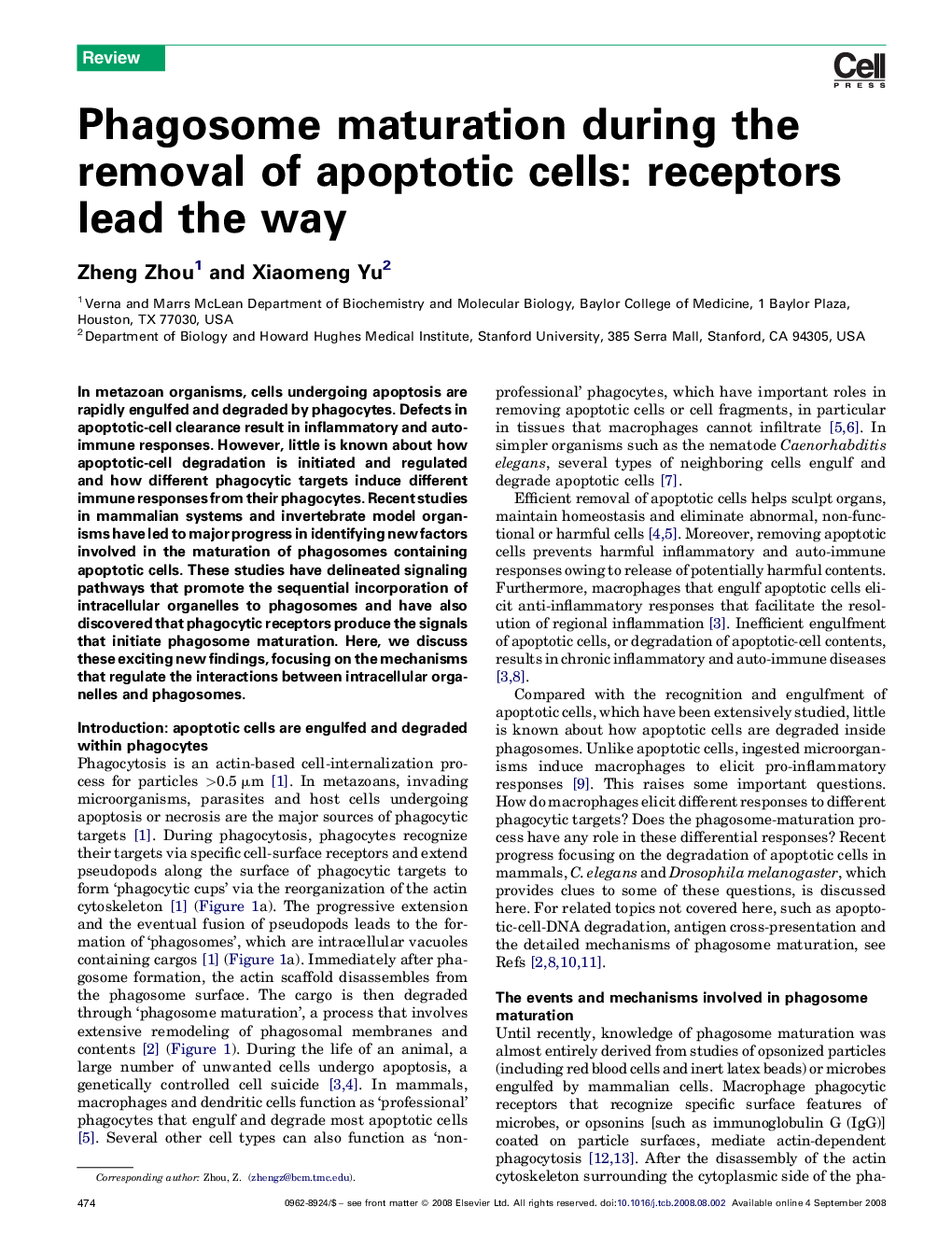 Phagosome maturation during the removal of apoptotic cells: receptors lead the way