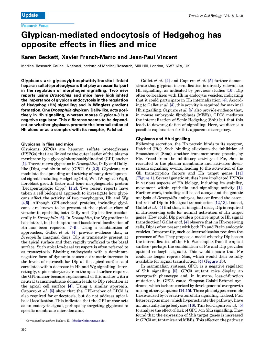 Glypican-mediated endocytosis of Hedgehog has opposite effects in flies and mice