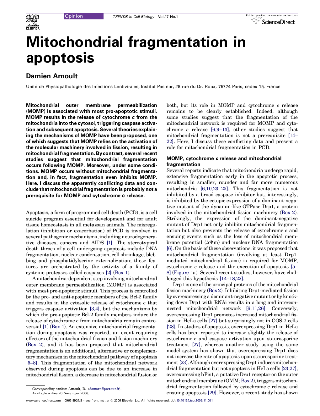 Mitochondrial fragmentation in apoptosis