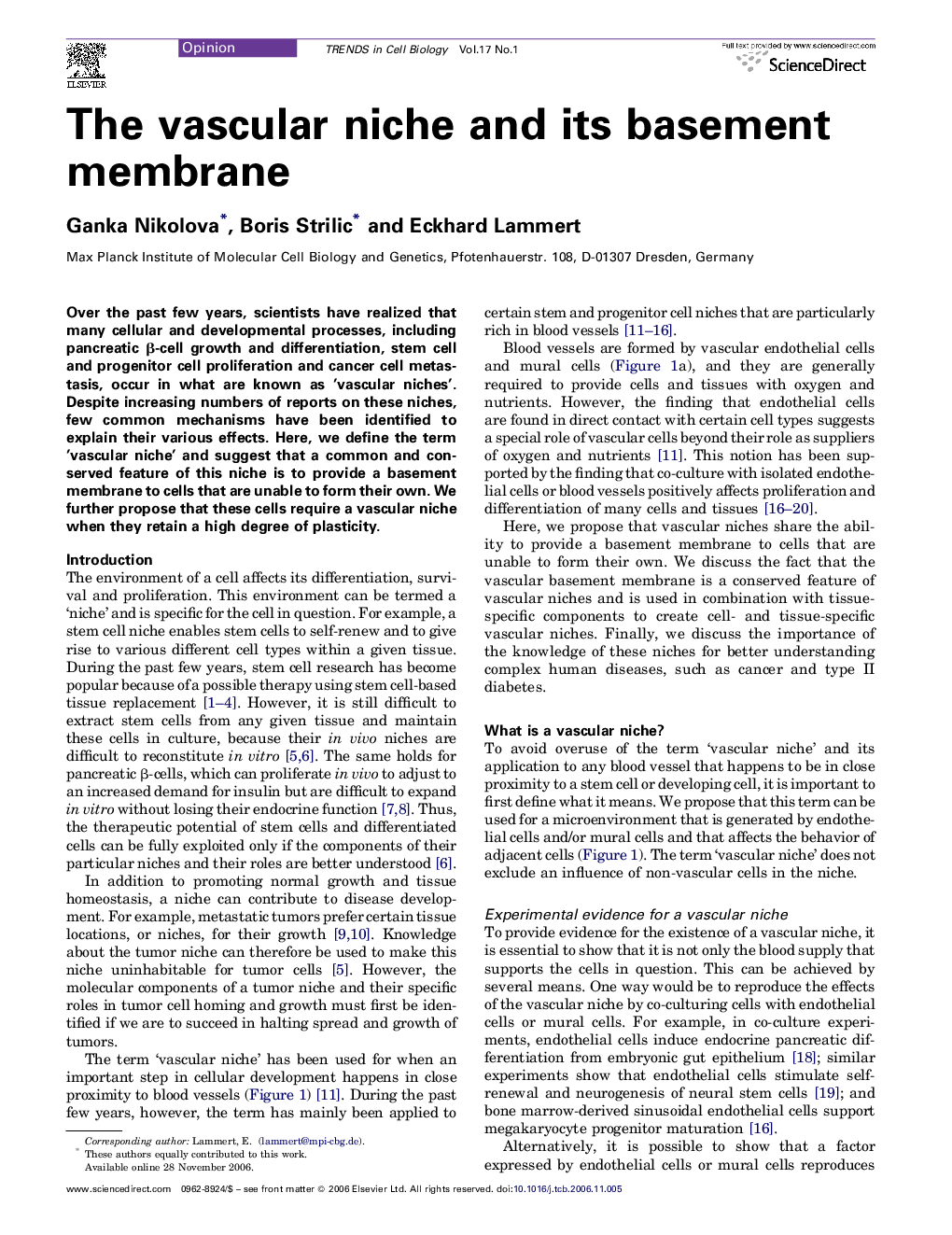 The vascular niche and its basement membrane