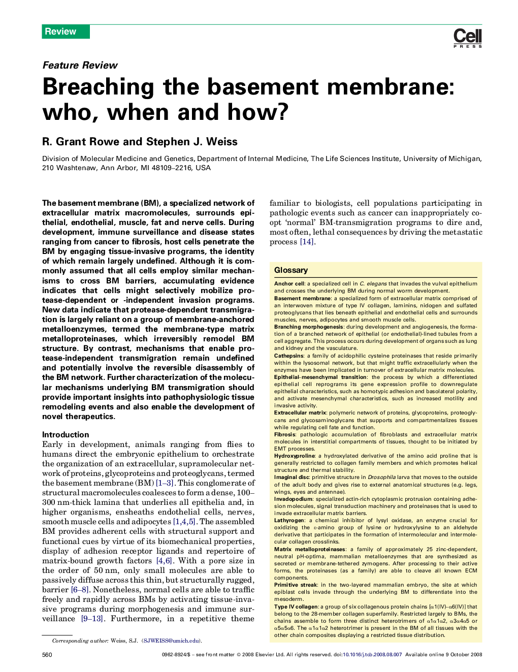 Breaching the basement membrane: who, when and how?