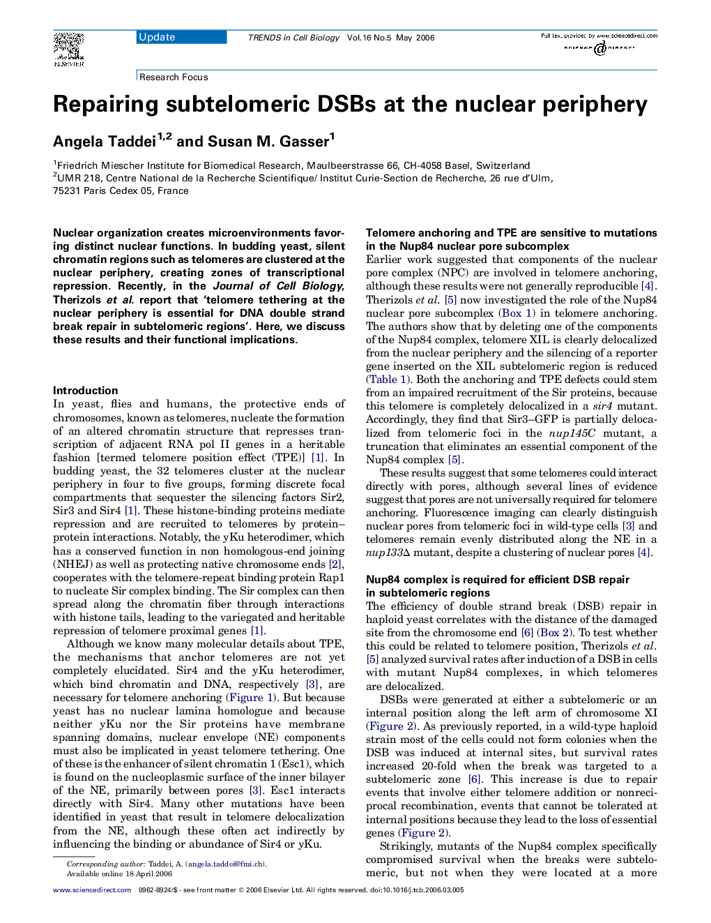 Repairing subtelomeric DSBs at the nuclear periphery