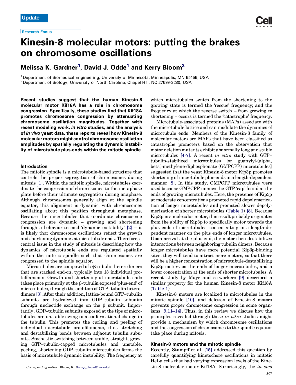 Kinesin-8 molecular motors: putting the brakes on chromosome oscillations