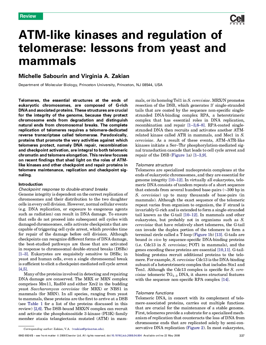 ATM-like kinases and regulation of telomerase: lessons from yeast and mammals