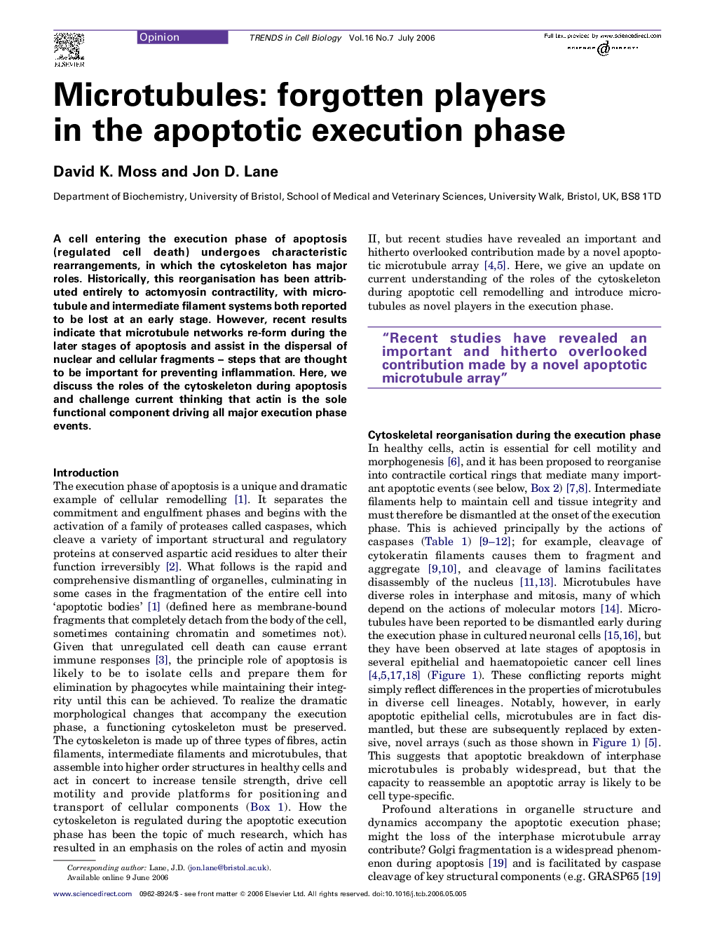 Microtubules: forgotten players in the apoptotic execution phase