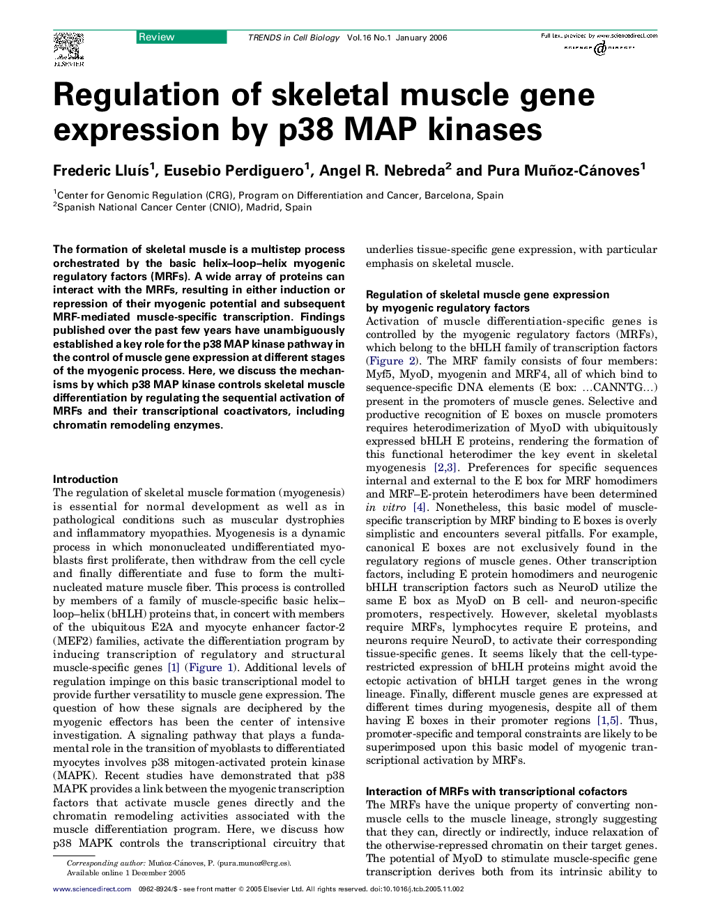 Regulation of skeletal muscle gene expression by p38 MAP kinases