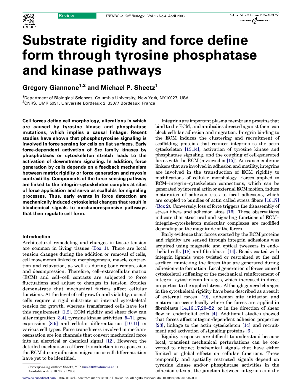Substrate rigidity and force define form through tyrosine phosphatase and kinase pathways