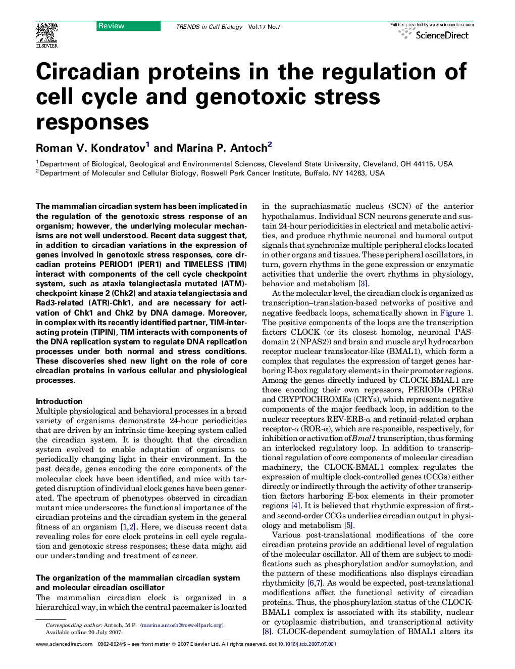 Circadian proteins in the regulation of cell cycle and genotoxic stress responses