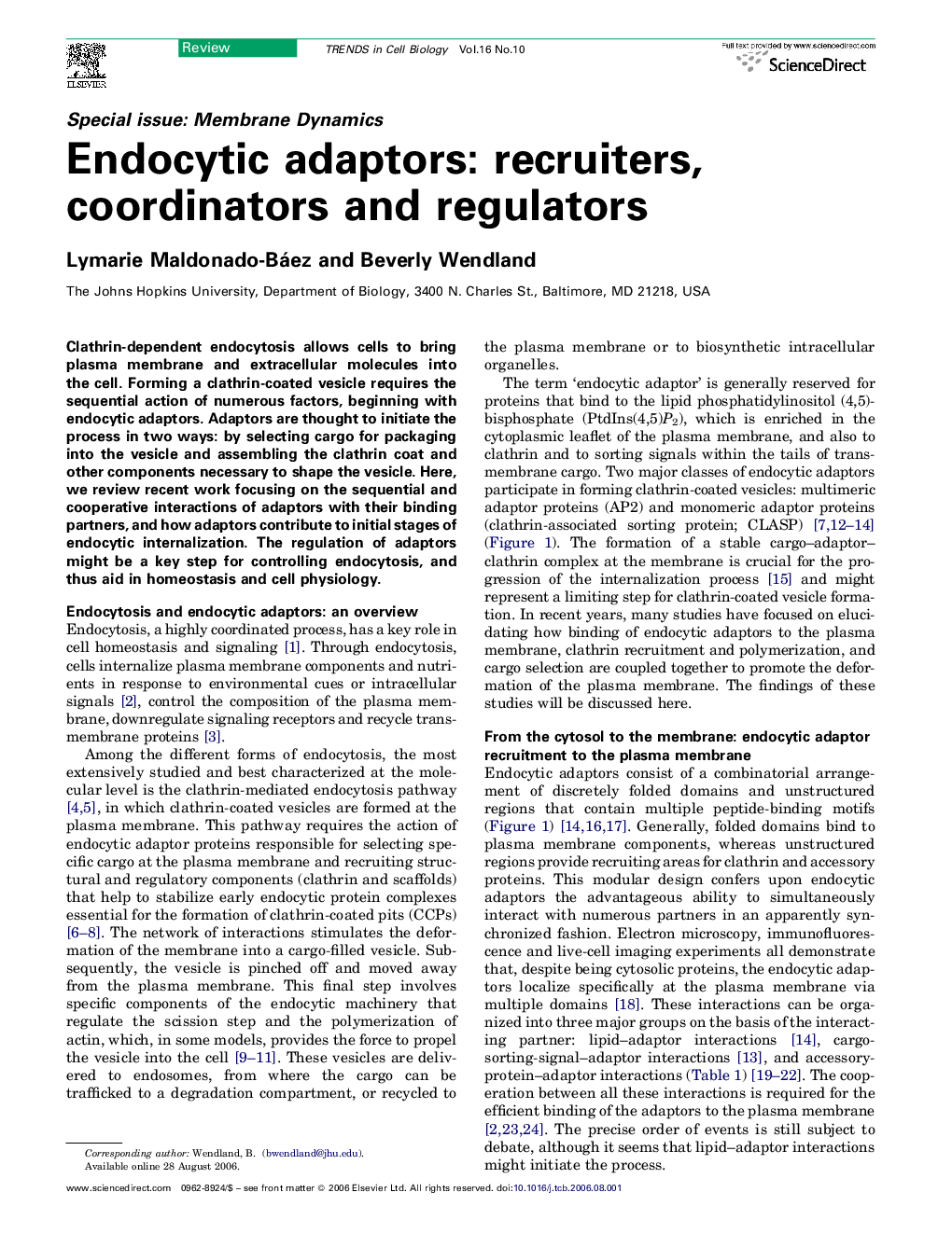 Endocytic adaptors: recruiters, coordinators and regulators