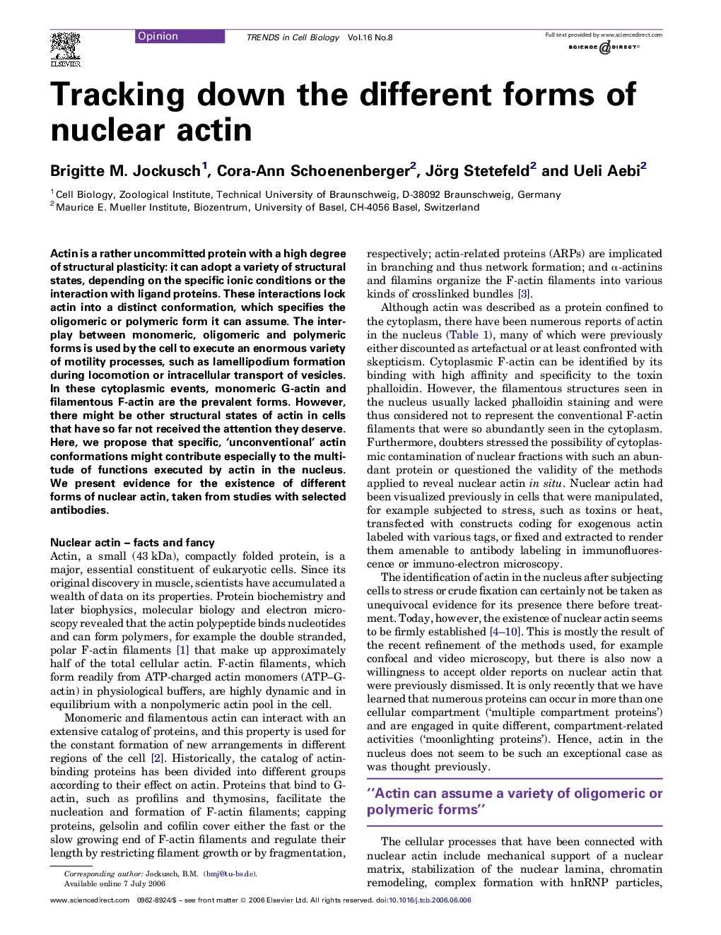 Tracking down the different forms of nuclear actin