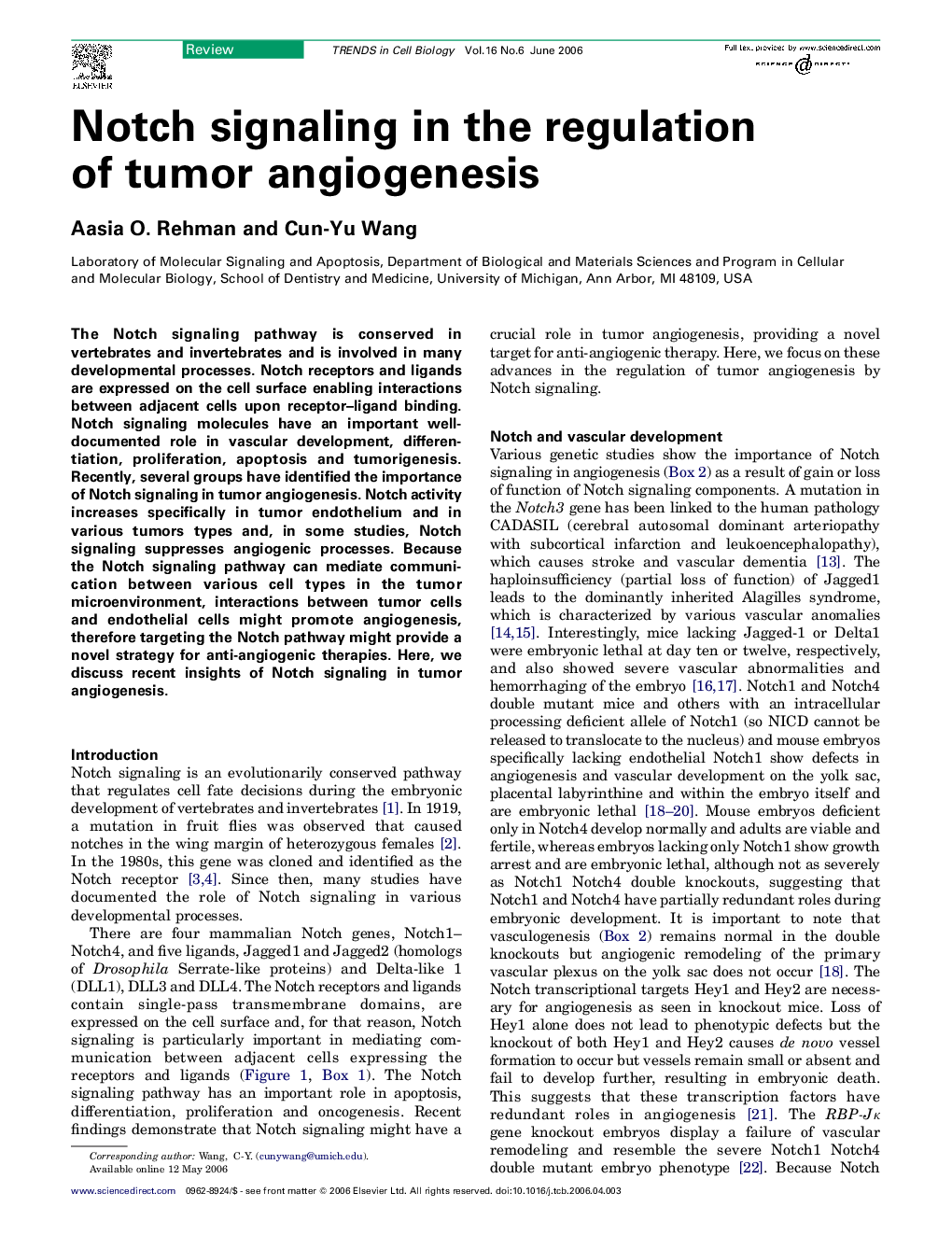 Notch signaling in the regulation of tumor angiogenesis