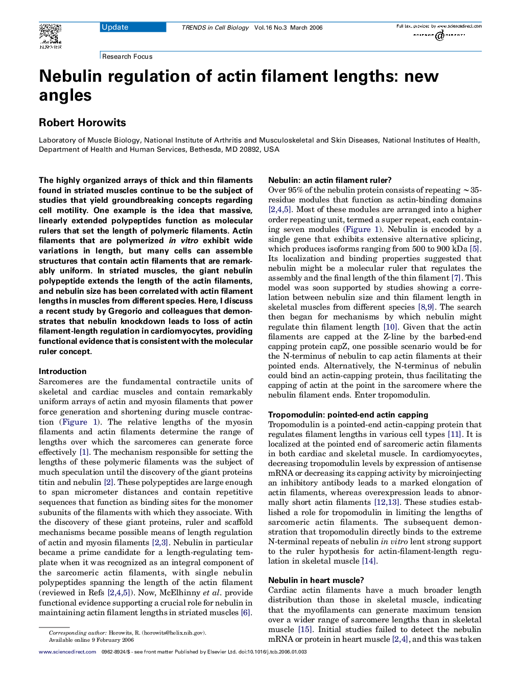 Nebulin regulation of actin filament lengths: new angles