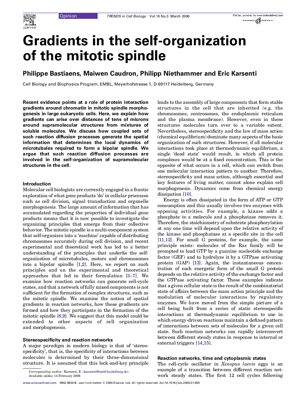 Gradients in the self-organization of the mitotic spindle