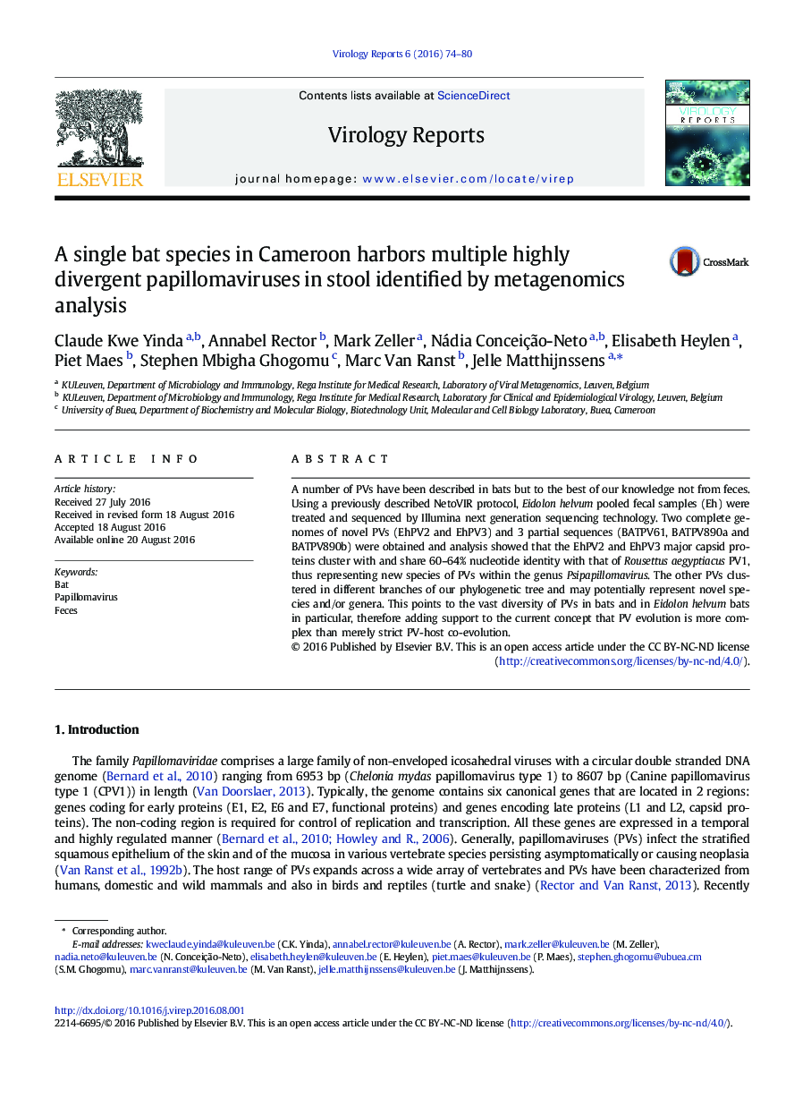 A single bat species in Cameroon harbors multiple highly divergent papillomaviruses in stool identified by metagenomics analysis