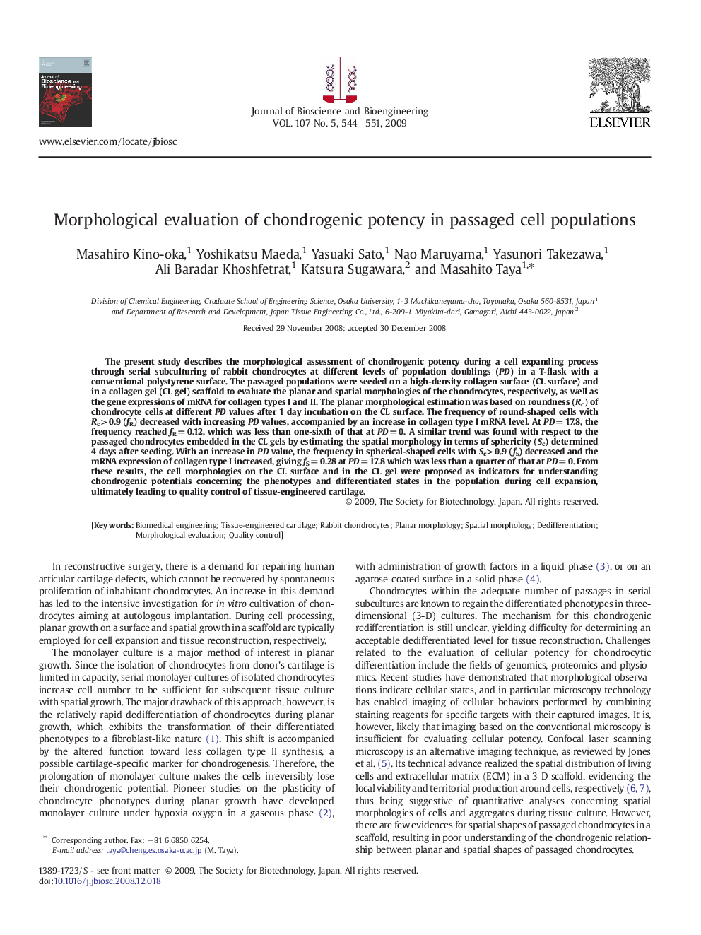 Morphological evaluation of chondrogenic potency in passaged cell populations