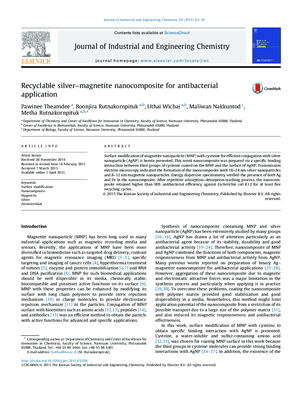 Recyclable silver–magnetite nanocomposite for antibacterial application