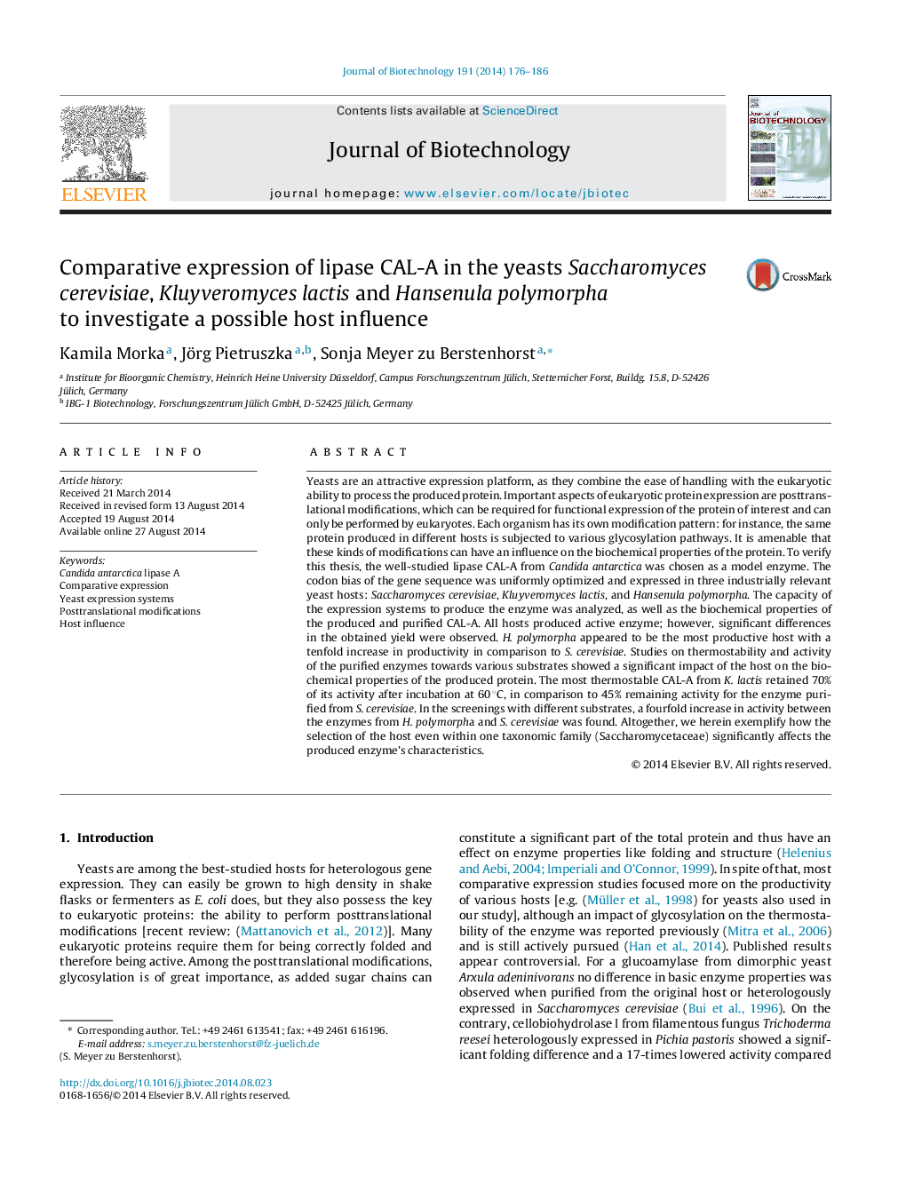 Comparative expression of lipase CAL-A in the yeasts Saccharomyces cerevisiae, Kluyveromyces lactis and Hansenula polymorpha to investigate a possible host influence