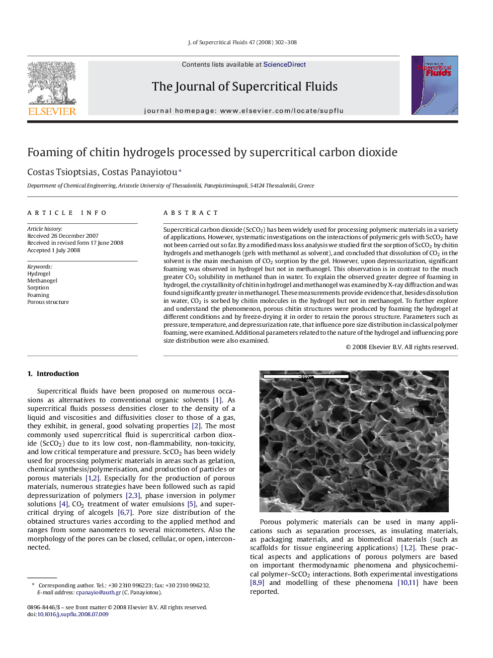 Foaming of chitin hydrogels processed by supercritical carbon dioxide