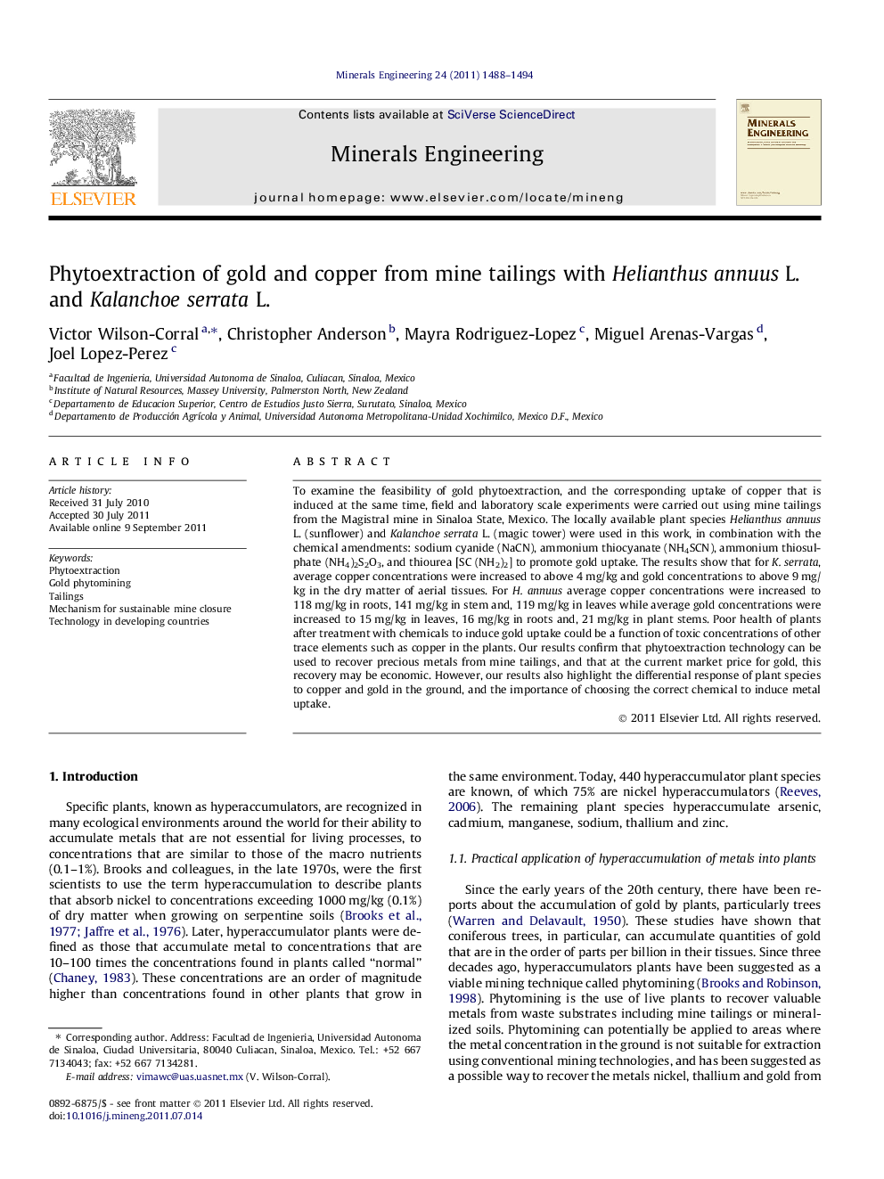 Phytoextraction of gold and copper from mine tailings with Helianthus annuus L. and Kalanchoe serrata L.