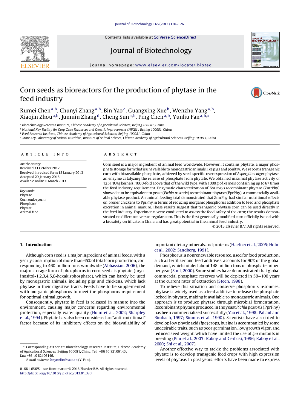 Corn seeds as bioreactors for the production of phytase in the feed industry