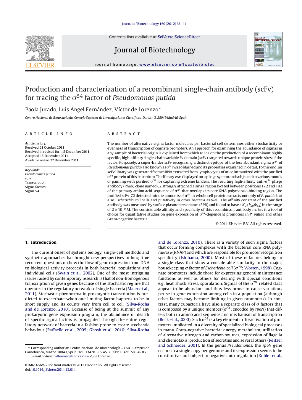 Production and characterization of a recombinant single-chain antibody (scFv) for tracing the σ54 factor of Pseudomonas putida