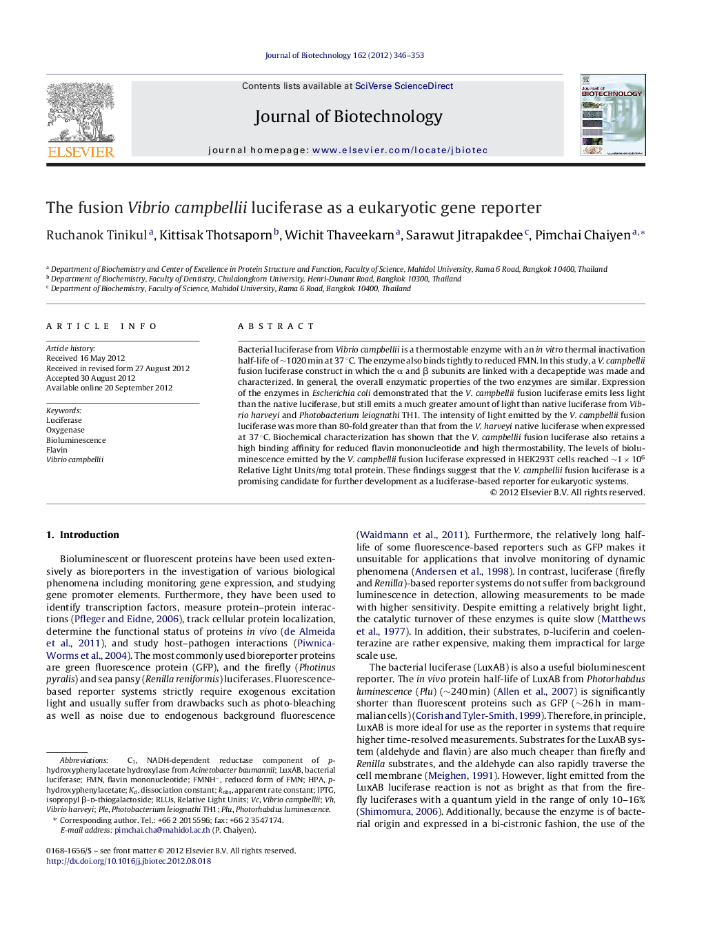 The fusion Vibrio campbellii luciferase as a eukaryotic gene reporter