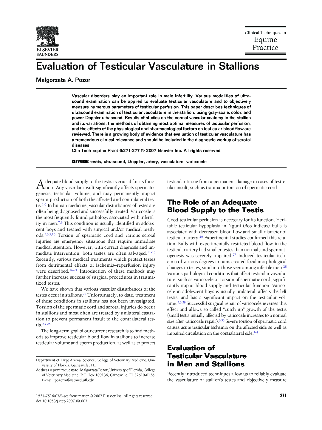 Evaluation of Testicular Vasculature in Stallions