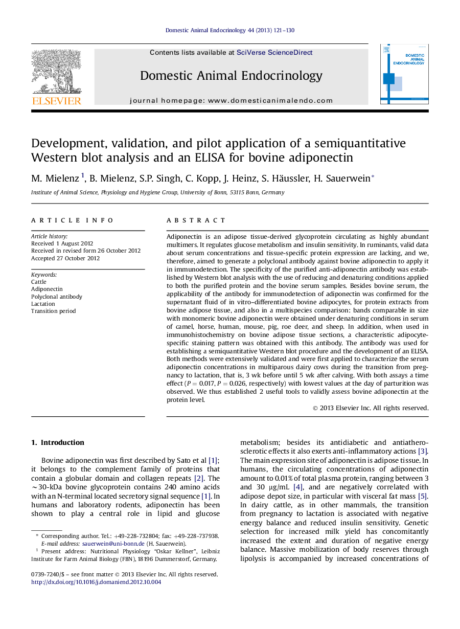 Development, validation, and pilot application of a semiquantitative Western blot analysis and an ELISA for bovine adiponectin