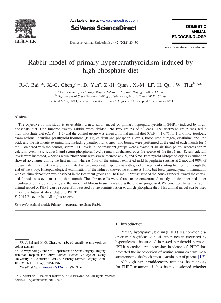 Rabbit model of primary hyperparathyroidism induced by high-phosphate diet